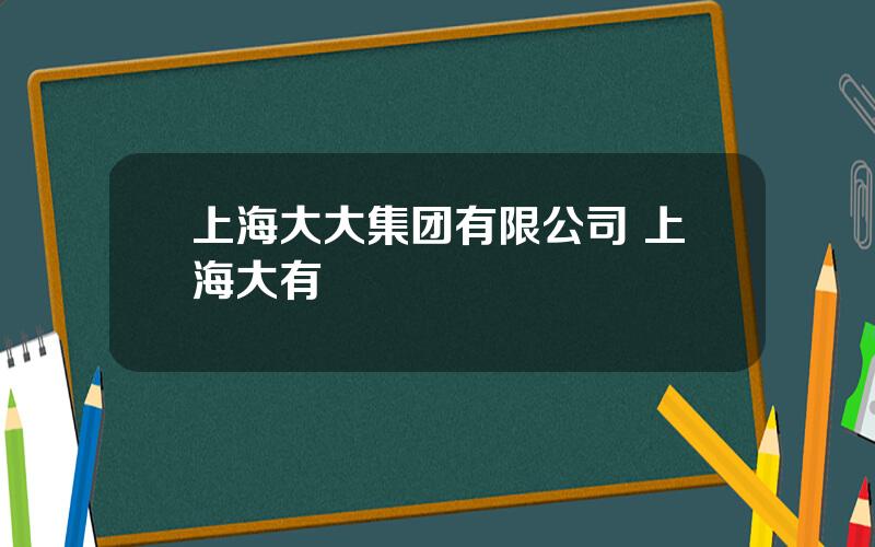 上海大大集团有限公司 上海大有